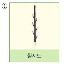 문제 이미지